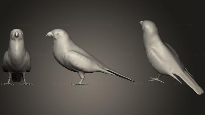 Статуэтки животных (Сосновый клюв, STKJ_1280) 3D модель для ЧПУ станка